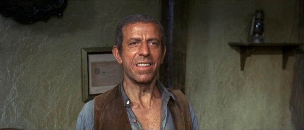 風来坊 II／ザ・アウトローの画像