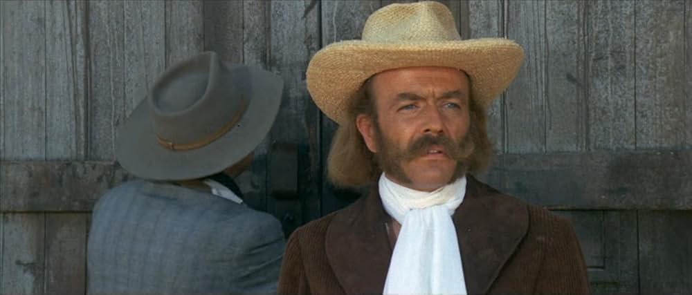 風来坊 II／ザ・アウトローの画像