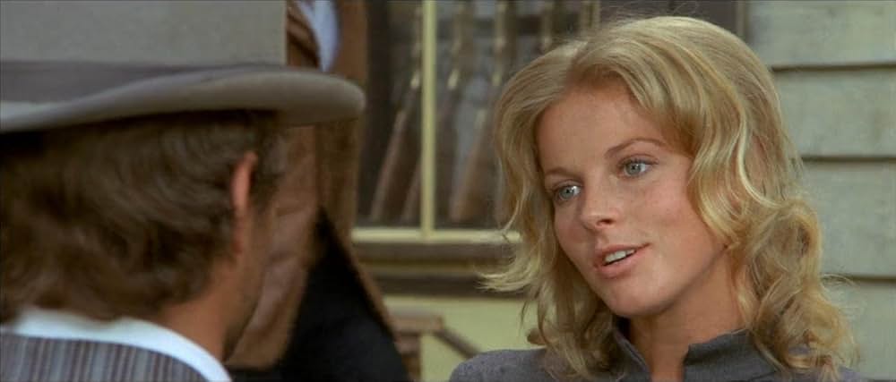 風来坊 II／ザ・アウトローの画像