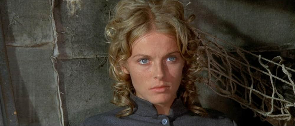 風来坊 II／ザ・アウトローの画像