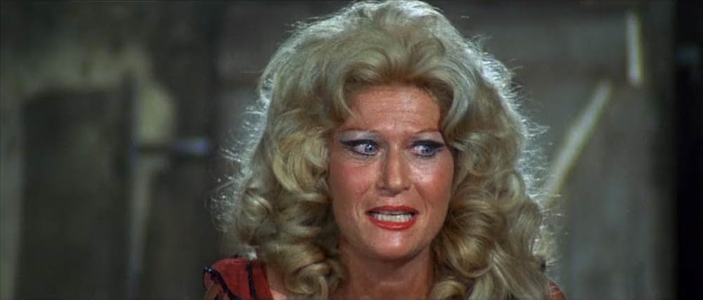 風来坊 II／ザ・アウトローの画像