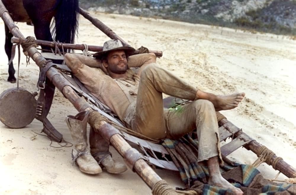 風来坊 II／ザ・アウトローの画像