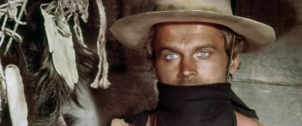 風来坊 II／ザ・アウトローの画像