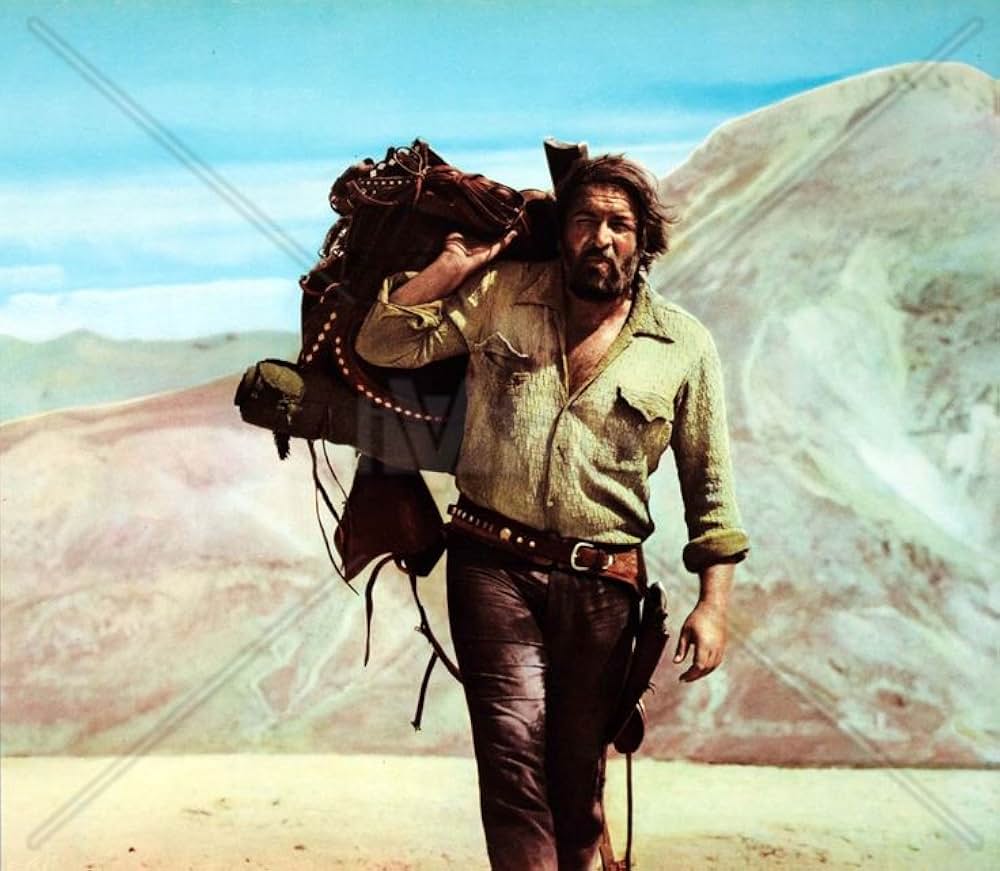 風来坊 II／ザ・アウトローの画像