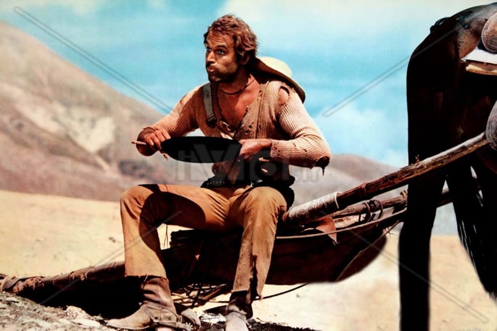 風来坊 II／ザ・アウトローの画像