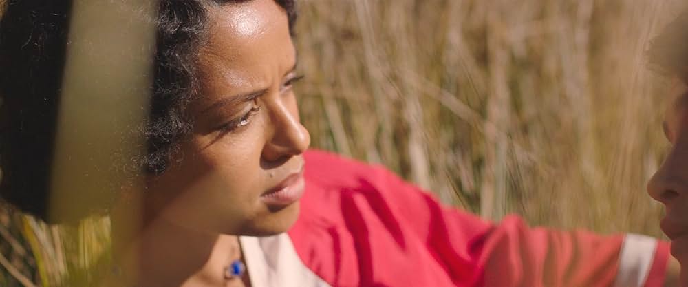 Summerland（原題）の画像