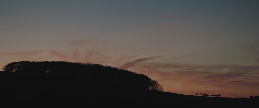 Summerland（原題）の画像