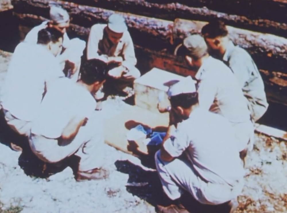 サンダーボルトの画像