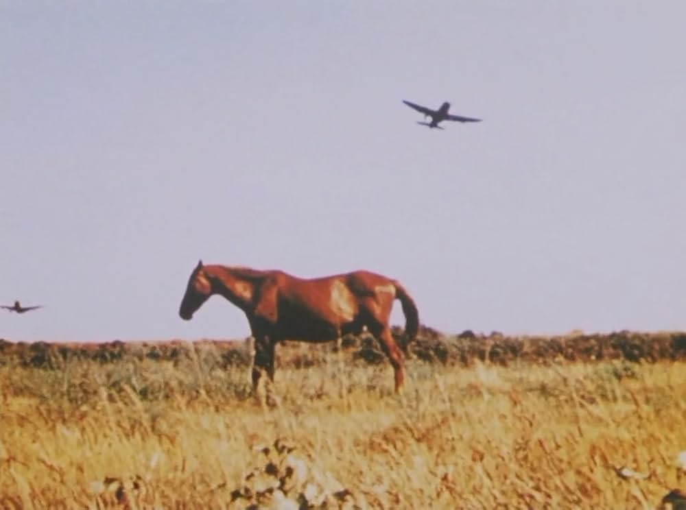 サンダーボルトの画像