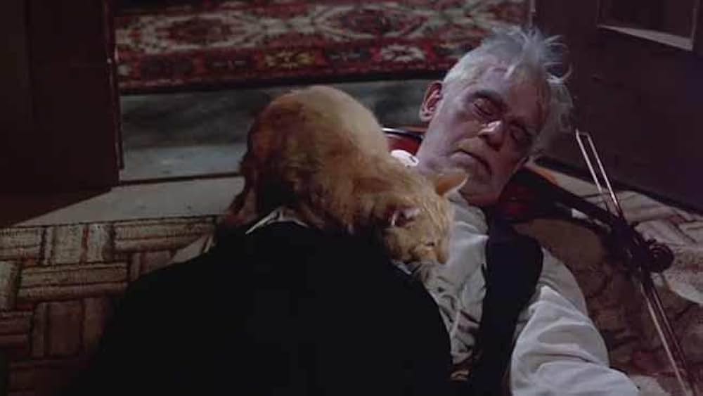 The Comedy of Terrors（原題）の画像