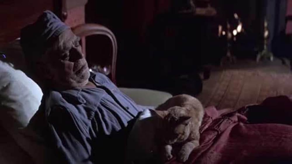 The Comedy of Terrors（原題）の画像