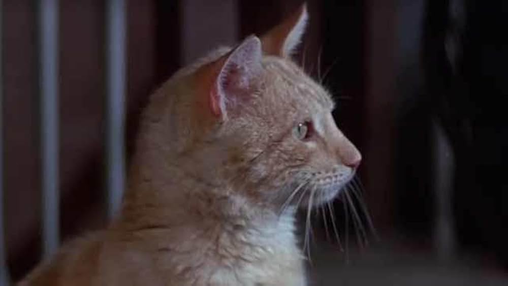 The Comedy of Terrors（原題）の画像