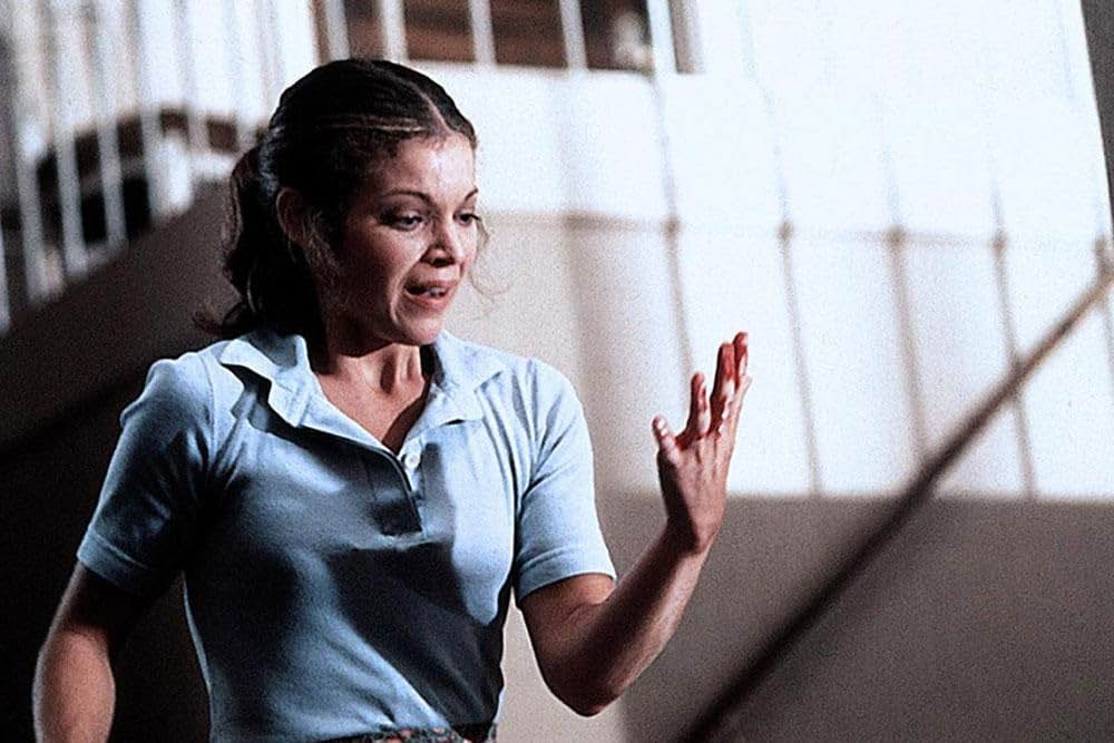 フューリーの画像