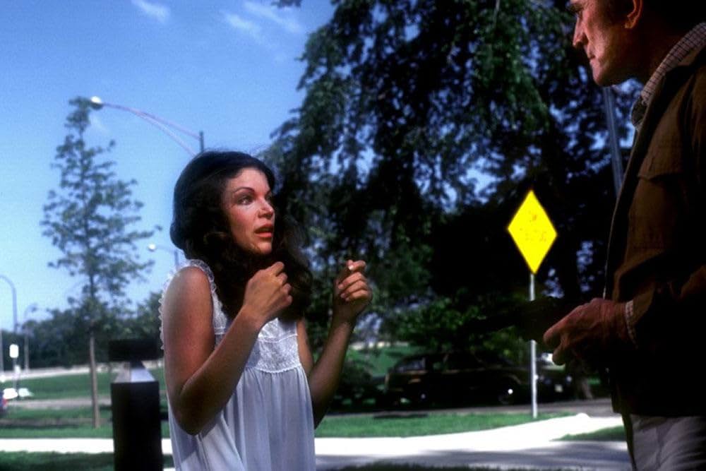 フューリーの画像