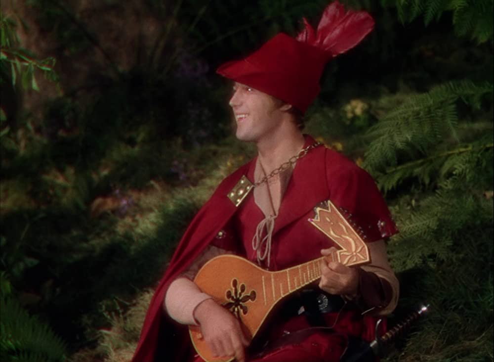 ロビンフッドの冒険の画像