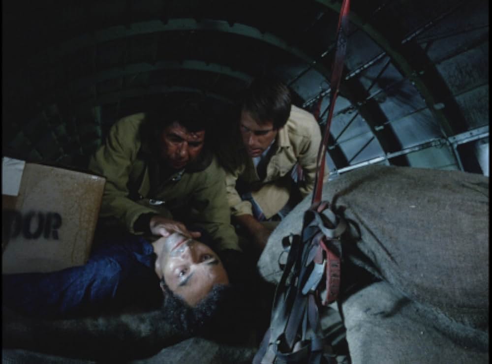 毒蜘蛛タランチュラ・死霊の群れの画像