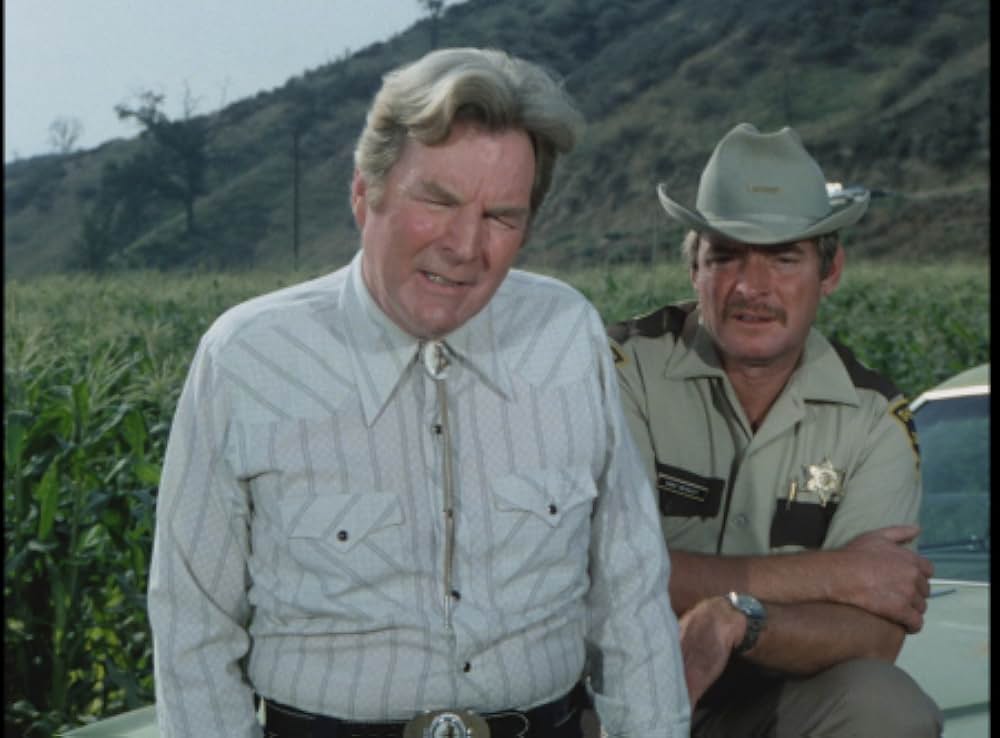 毒蜘蛛タランチュラ・死霊の群れの画像