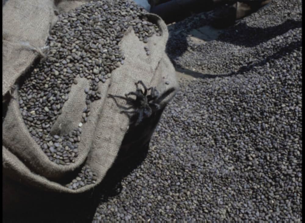 毒蜘蛛タランチュラ・死霊の群れの画像