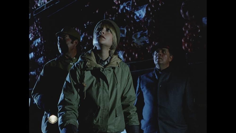 毒蜘蛛タランチュラ・死霊の群れの画像