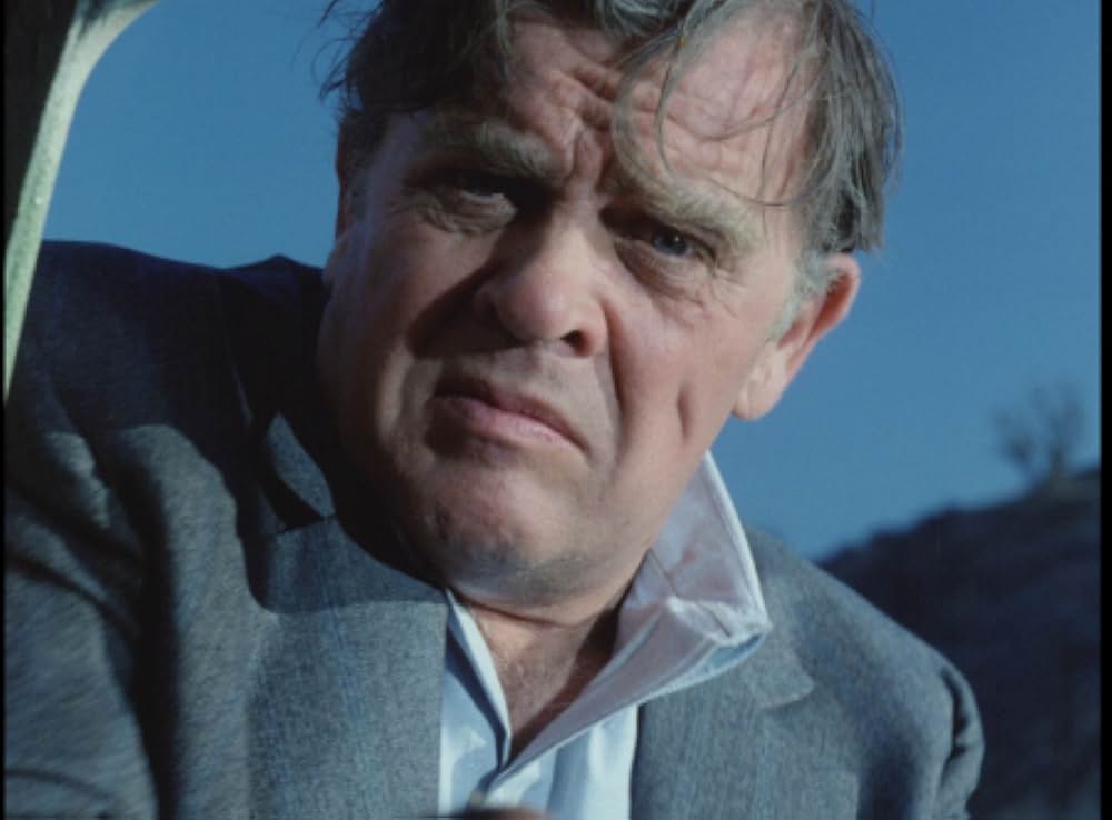 毒蜘蛛タランチュラ・死霊の群れの画像