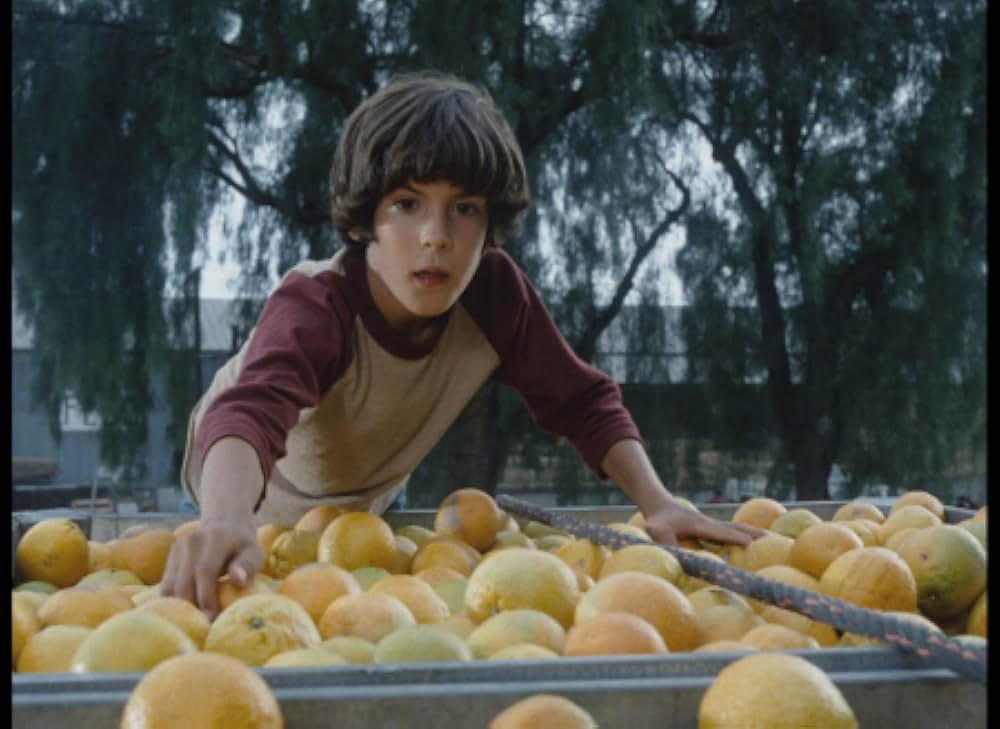 毒蜘蛛タランチュラ・死霊の群れの画像