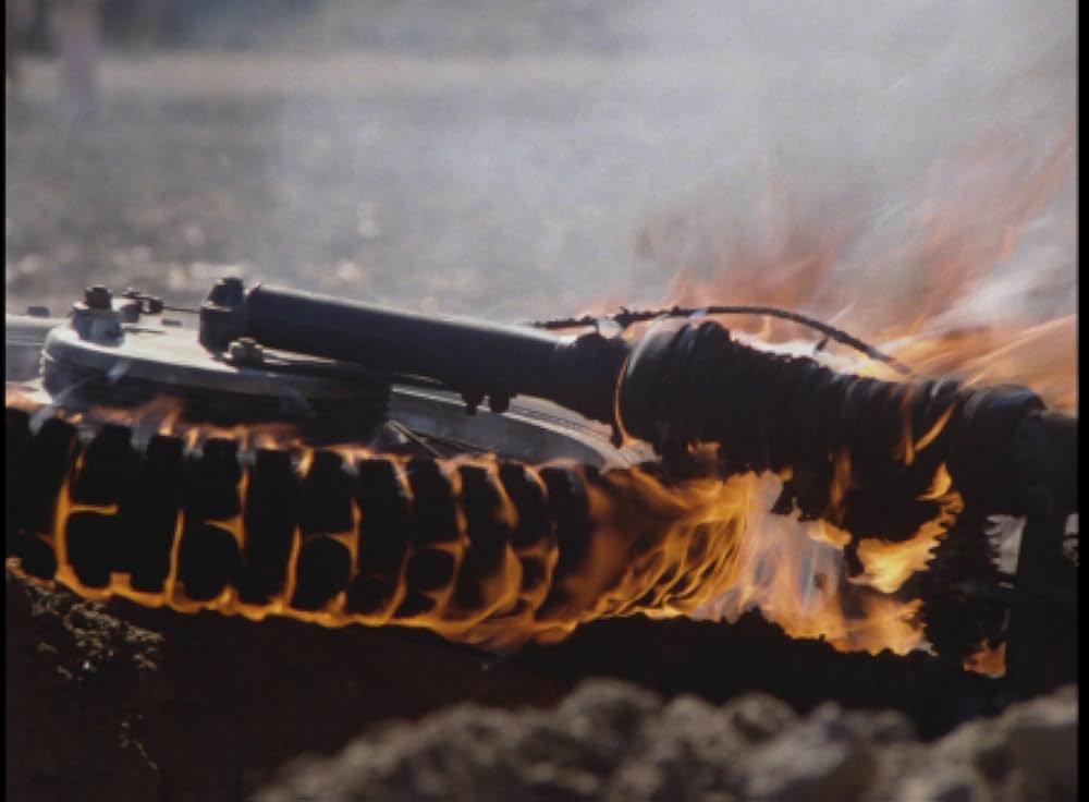 毒蜘蛛タランチュラ・死霊の群れの画像