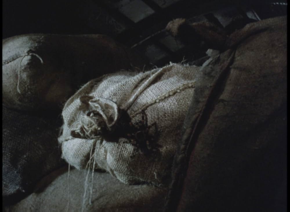 毒蜘蛛タランチュラ・死霊の群れの画像