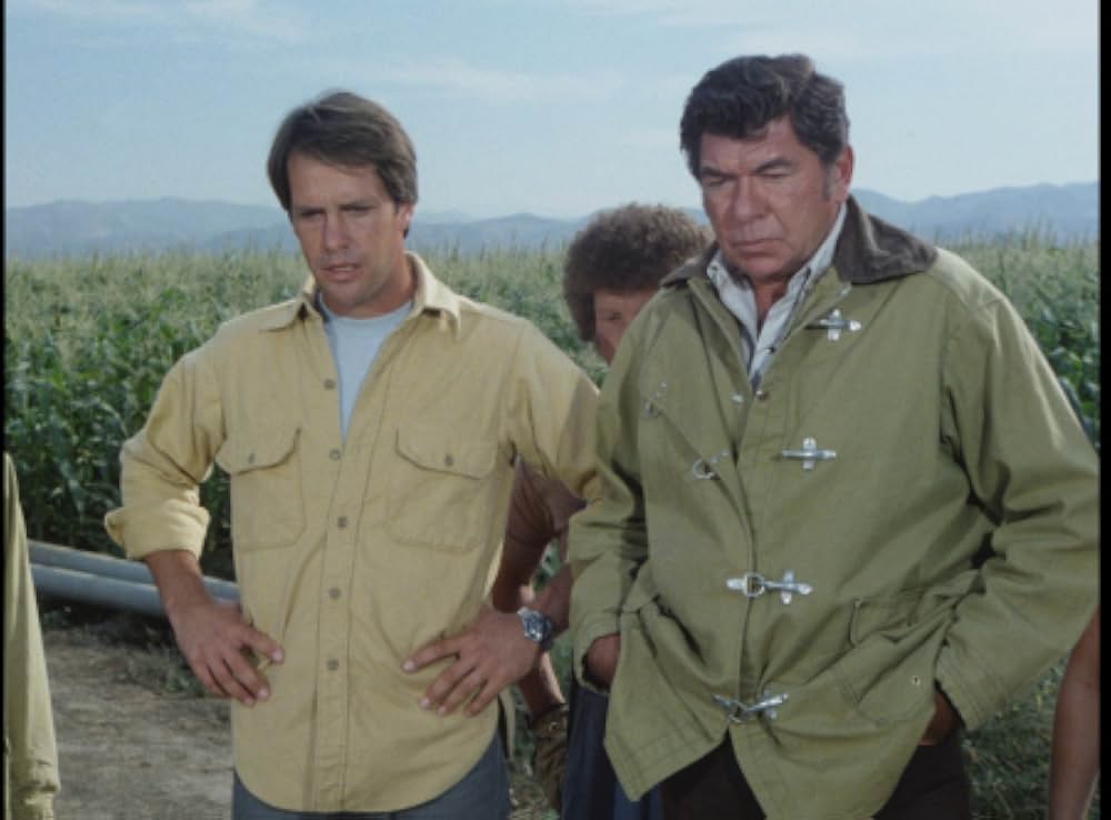 毒蜘蛛タランチュラ・死霊の群れの画像