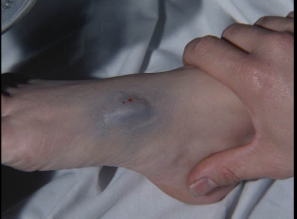 毒蜘蛛タランチュラ・死霊の群れの画像