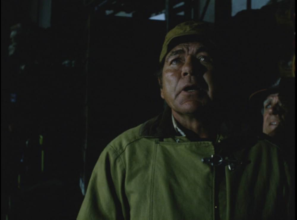 毒蜘蛛タランチュラ・死霊の群れの画像