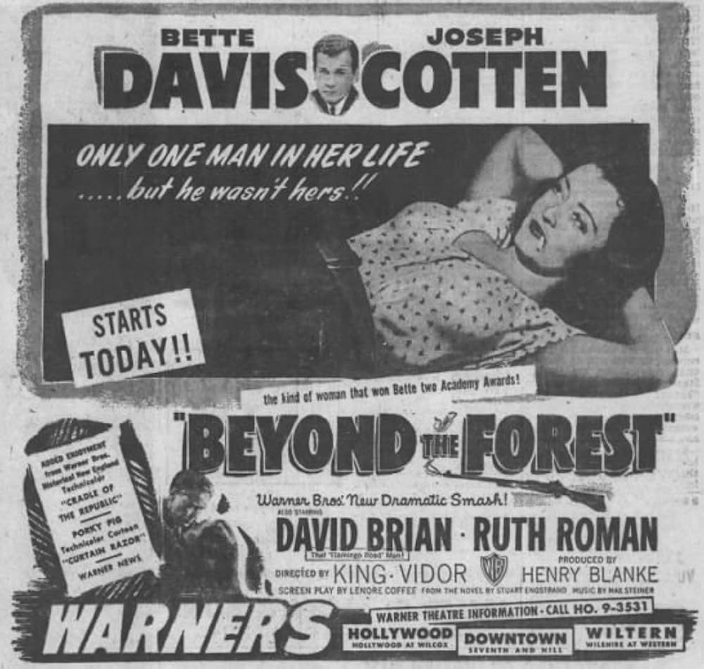 森の彼方にの画像