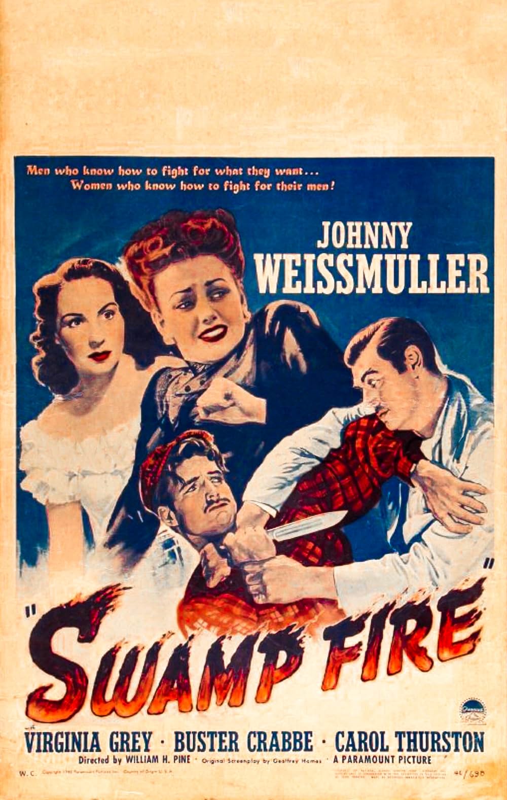 燃える密林の画像