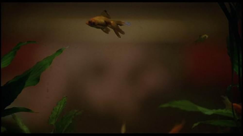 女体調教人 リタの画像