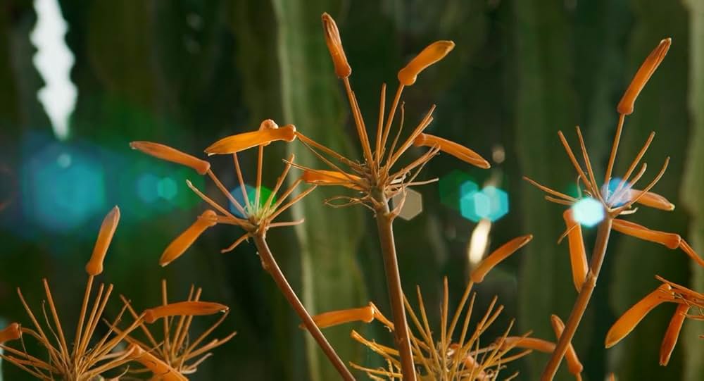 Styx（原題）の画像