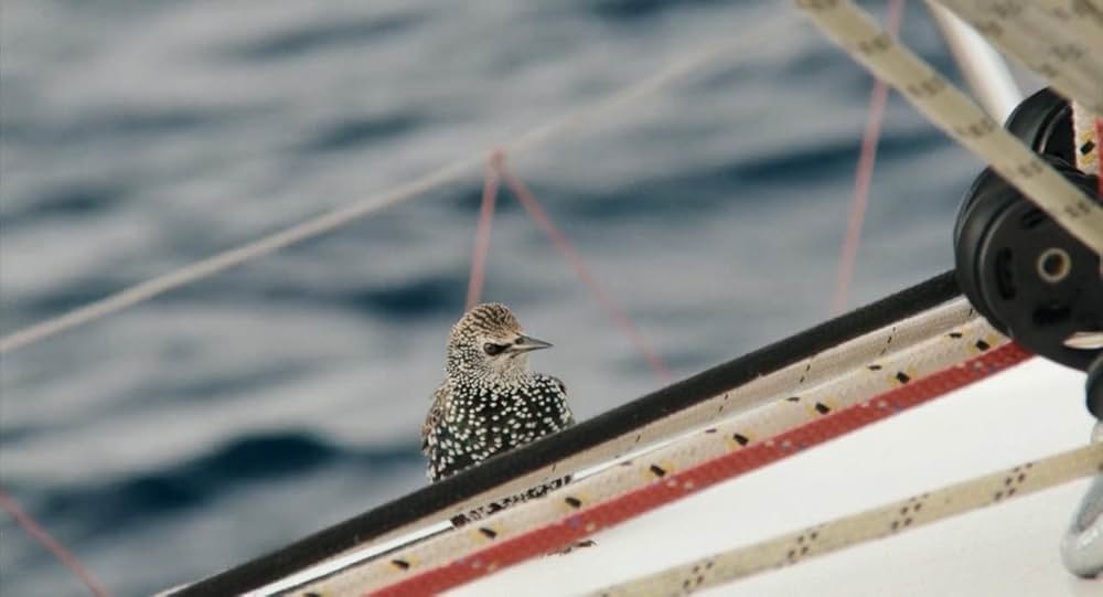 Styx（原題）の画像