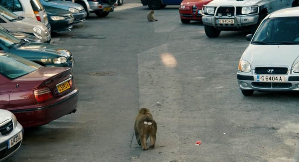 Styx（原題）の画像