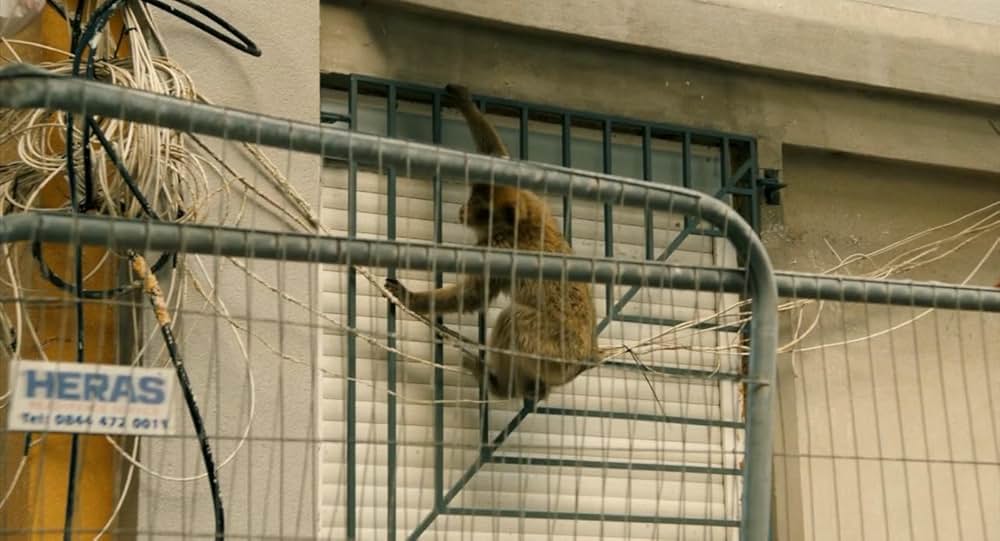 Styx（原題）の画像