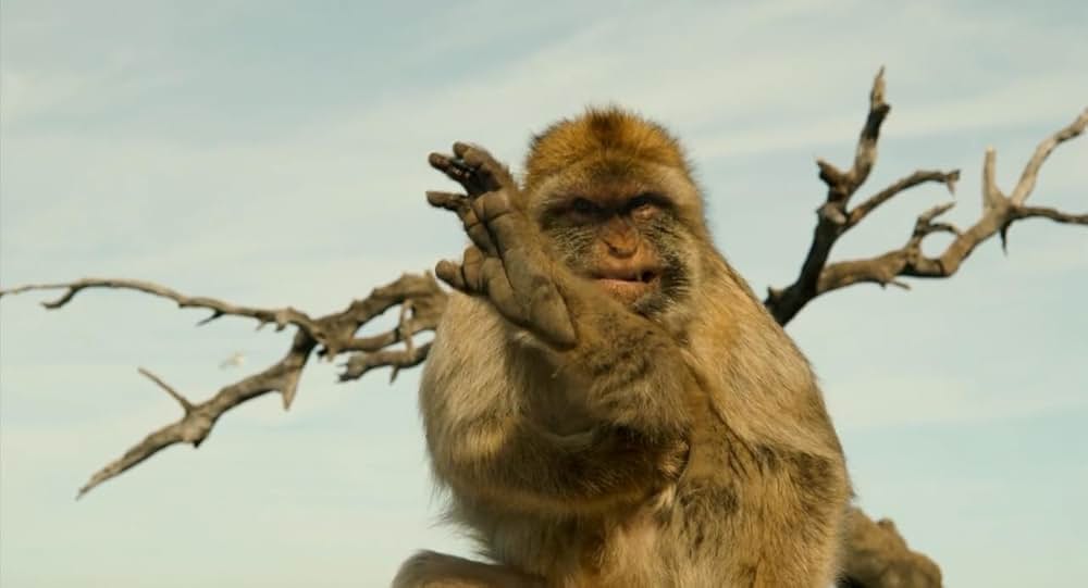 Styx（原題）の画像