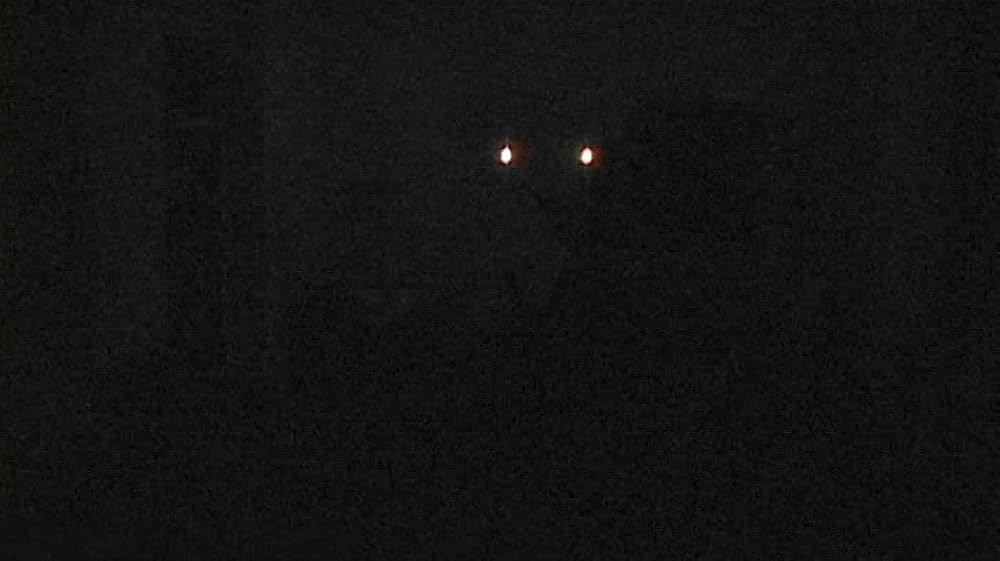 Rabbits（原題）の画像