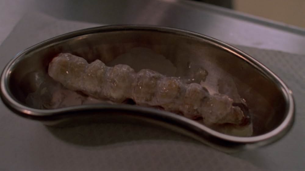 インセクトの画像