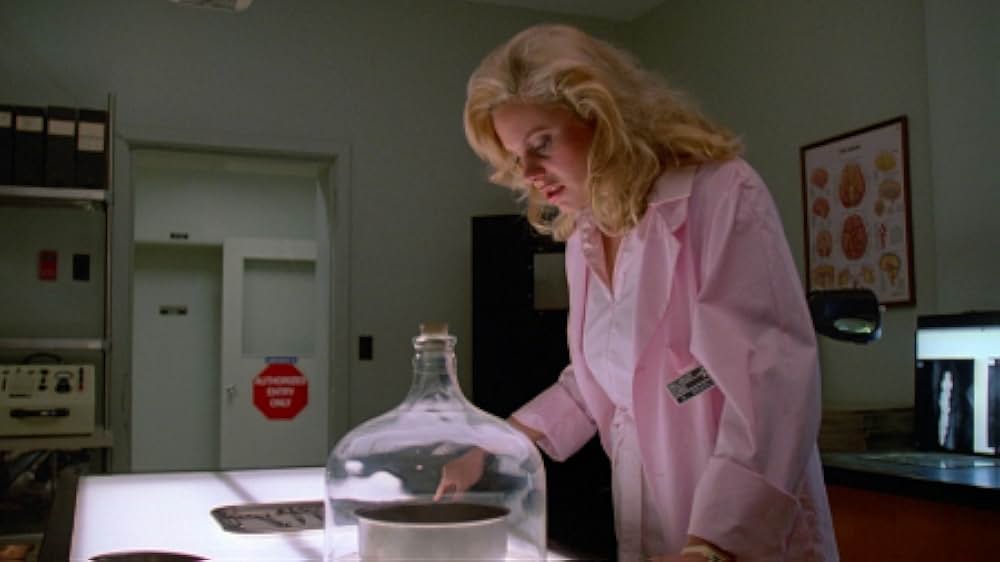 インセクトの画像