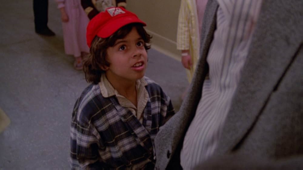 インセクトの画像