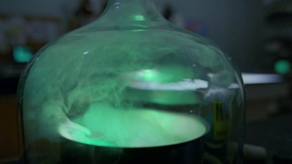 インセクトの画像