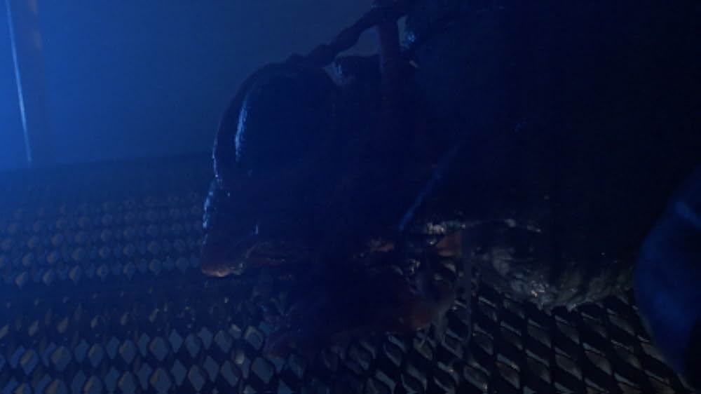 インセクトの画像