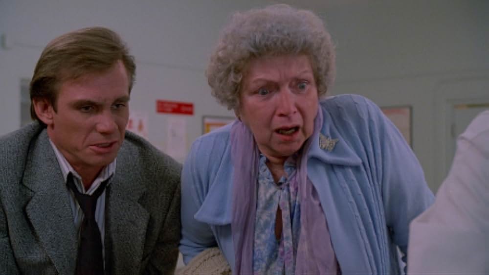 インセクトの画像