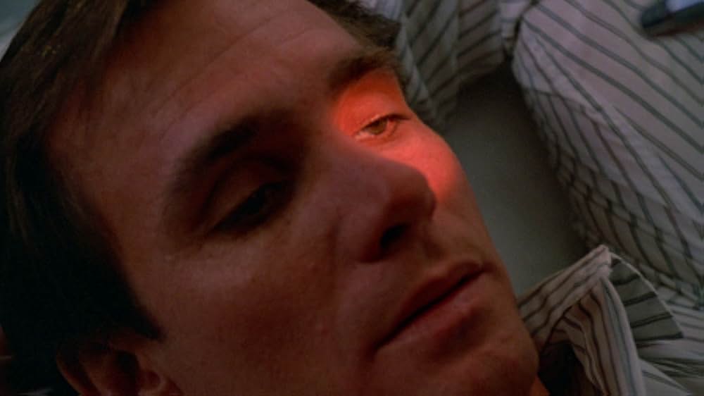 インセクトの画像