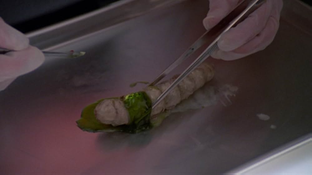 インセクトの画像