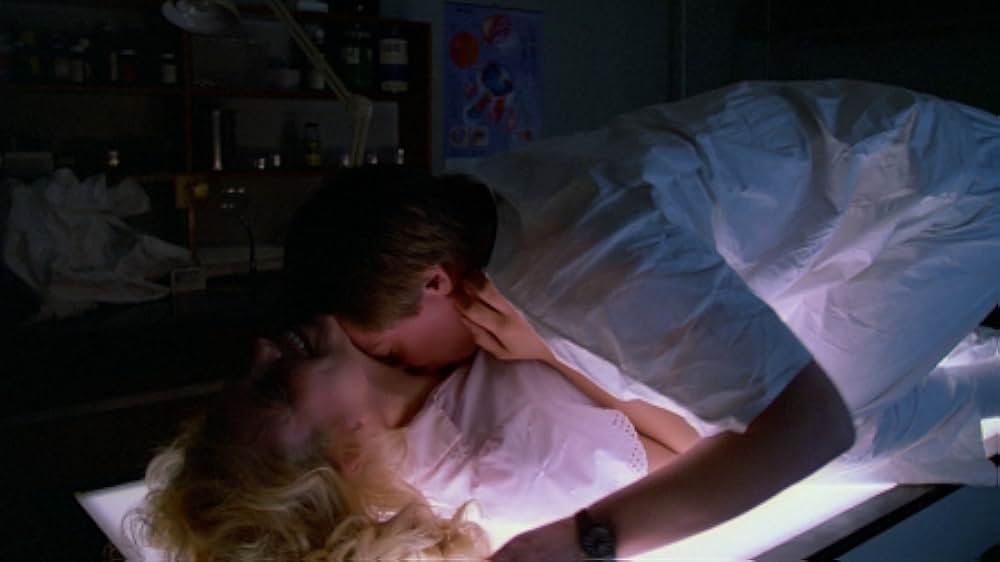 インセクトの画像