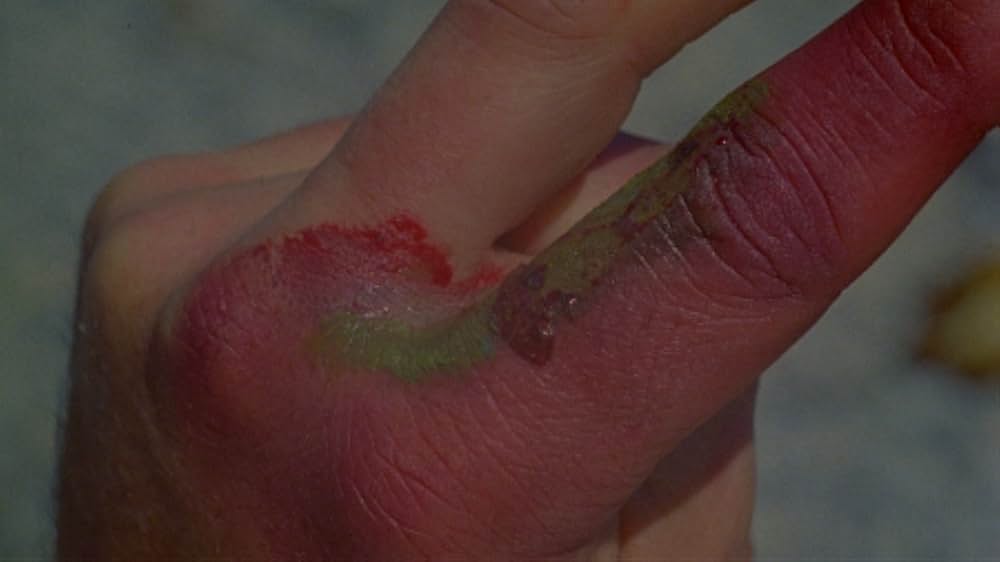 インセクトの画像