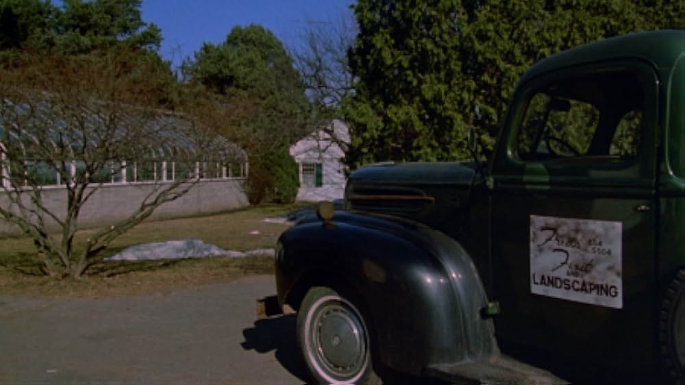 インセクトの画像